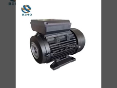 एकल चरण ऊर्ध्वाधर खोखले शाफ्ट मोटर