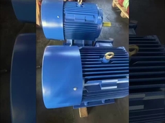 थ्री फेज़ मोटर 0.17kW~160kW IP44 IP54 IP55 380V यूनिवर्सल इलेक्ट्रिक मोटर