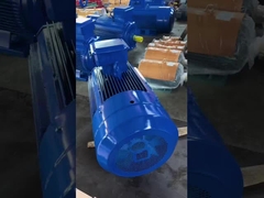 IE2 IE3 IE4 इंडक्शन मोटर थ्री फेज 11kw-200kw 380V IE3 प्रीमियम दक्षता मोटर