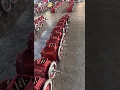 NEMA Premium Efficiency Motor 2 Pole 4 Pole 6 Pole 50HP AC Three Phase Motor