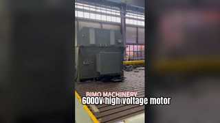 Moteur haute tension 6000V 10000V 355kw 600kw 800kw