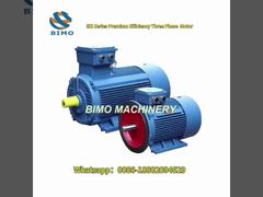 Moteur asynchrone à haute efficacité à trois phases de la série IE3