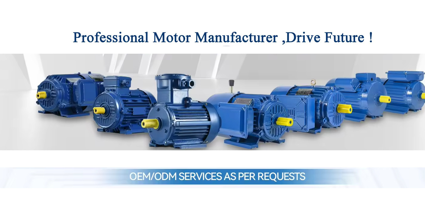 quality AC Electric Motor factory