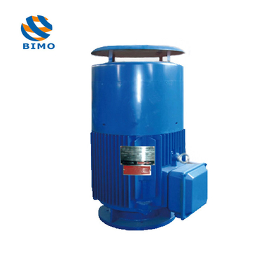 comprare NEMA Motore ad albero cavo verticale IP54 380V 660V 3 fase 50HZ 1450rpm 75kw VHS online manufacture