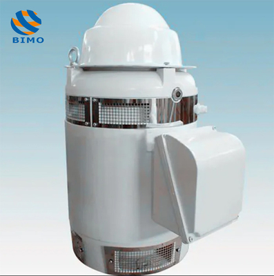 comprare Tipo TEFC Motore IP54 IP55 380V 660V 45KW 60HP Verticale a fuso cavo 60HZ 4 poli Motore VHS online manufacture