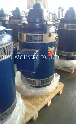 comprare IP44 IP54 Motore a albero cavo verticale a bassa vibrazione 380V 660V online manufacture