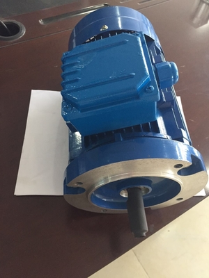 comprare 15 kW 600V 1800rpm Motore standard NEMA 60Hz TEFC AC Motore elettrico online manufacture