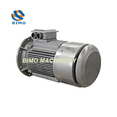 comprare IE4 Serie 0.12KW-315KW Super Premium Efficienza Motore Assincrono Trifase online manufacture