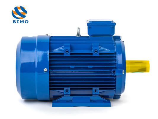 YE2 YE3 IE2 IE3 IE4 Motore a tre fasi di gabbia da scoiattolo da 0,75 kW 3 kW 15 kW 1 HP 3 HP 20 HP