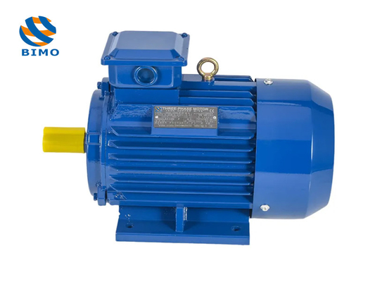Motore a piedi da 30 kW Motore elettrico a corrente alternata a tre fasi TEFC