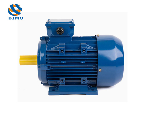 IP55 Motore B3 a 3 fasi asincrono