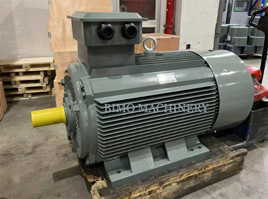 315kW Gost Motor Tre fasi AC Asincrono Induzione Motore elettrico B3 Montaggio