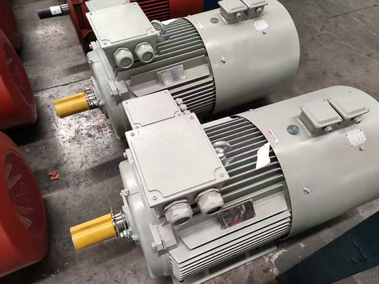 IE4 38KW Motori a gabbia di scoiattolo asincroni 8 poli AC 220v 440v 380v 50hz motore a 3 fasi
