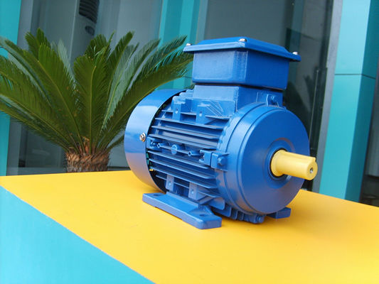 YE3 Electric Motor 2-Pole Three-Phase Asynchronous AC Induction Enclosed IE3 Efficiency 3000rpm 380V/220V AC Voltage for Pump