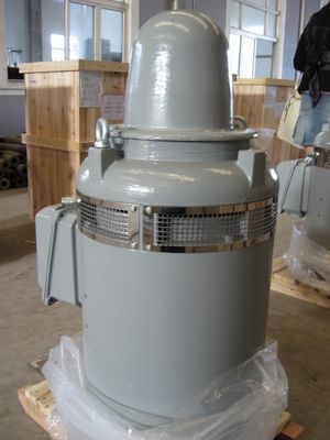 NEMA/IEC  Standard 100HP~600HP Vertical Hollow Shaft Electric Vhs Motors and Deep Well Pump Motor